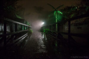 Kennywood Phantom Fall Festival Halloween Fright Night by Heather Schor Photography 66