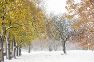 Heather Schor Photography -Allegheny Common Pittsbugh snow 1 - 5R1A9837