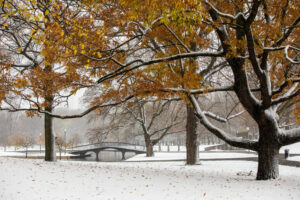 Heather Schor Photography -Allegheny Common Pittsburgh snow 3 - 5R1A9923