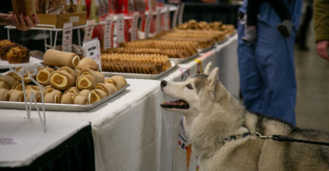 Pittsburgh Pet Expo - IMG_8266