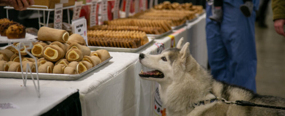 Pittsburgh Pet Expo - IMG_8266