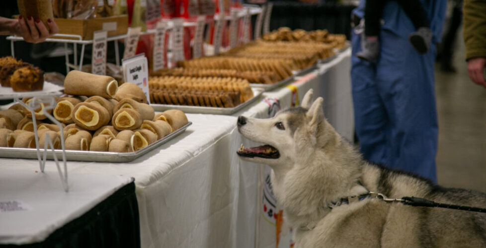 Pittsburgh Pet Expo - IMG_8266