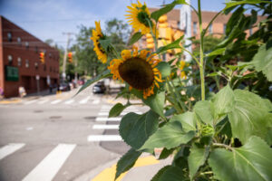 01- Squirrel Hill Farmer's Market - Heather Schor Photography -5R1A8571_