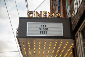 02- Cat Video Fest 2023 - Heather Schor Photography -Cat Video Fest 2023 - Pittsburgh -5R1A8935_
