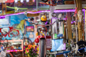 10- PeeWee's Bike - Bicycle Heaven - Heather Schor Photography -Bicycle Heaven - Pittsburgh -5R1A8104_