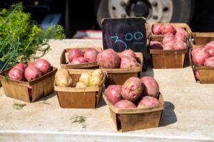 17- Squirrel Hill Farmer's Market - Heather Schor Photography -5R1A8643_