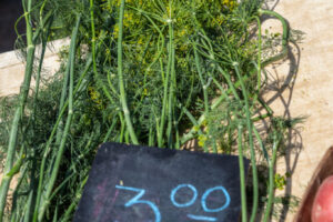 18- Squirrel Hill Farmer's Market - Heather Schor Photography -5R1A8644_