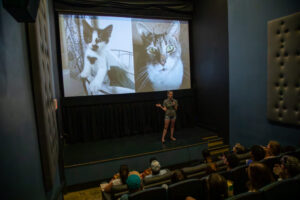 19- Cat Video Fest 2023 - Heather Schor Photography -Cat Video Fest 2023 - Pittsburgh -5R1A9016-Enhanced-NR_