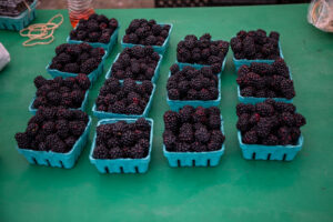 37- Squirrel Hill Farmer's Market - Heather Schor Photography -5R1A8711_