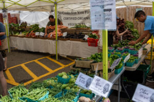 65- Squirrel Hill Farmer's Market - Heather Schor Photography -5R1A8778_