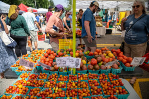 66- Squirrel Hill Farmer's Market - Heather Schor Photography -5R1A8779_