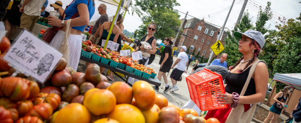 71- Squirrel Hill Farmer's Market - Heather Schor Photography -5R1A8788_