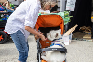 75- Squirrel Hill Farmer's Market - Heather Schor Photography -5R1A8796_