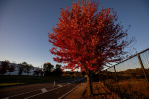 13 - GAP Trail - Steel Valley - Waterfront - by Heather Schor photography - Bike Trail - pump house to rankin bridge - Oct 2023-5R1A4839-2