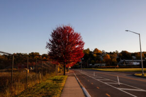 14 - GAP Trail - Steel Valley - Waterfront - by Heather Schor photography - Bike Trail - pump house to rankin bridge - Oct 2023-5R1A4849-2