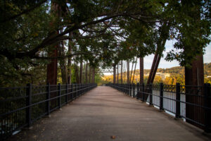 32- Pittsburgh Bike Trail - Three Rivers Heritage Trail - Heather Schor photography - Millvale Riverview - Oct 2023-5R1A2521