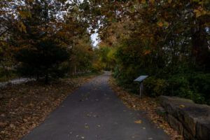 35- Pittsburgh Bike Trail - Three Rivers Heritage Trail - Heather Schor photography - Pittsburgh Bike Trail - River Ave - Oct 2023-5R1A5332-2