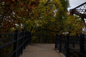 36- Pittsburgh Bike Trail - Three Rivers Heritage Trail - Heather Schor photography - Pittsburgh Bike Trail - River Ave - Oct 2023-5R1A5333-2