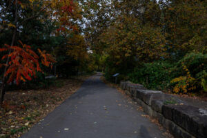 42- Pittsburgh Bike Trail - Three Rivers Heritage Trail - Heather Schor photography - Pittsburgh Bike Trail - River Ave - Oct 2023-5R1A5329-2