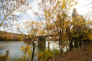 49- Pittsburgh Bike Trail - Three Rivers Heritage Trail - Heather Schor photography - Pittsburgh Bike Trail - River Ave - Oct 2023-5R1A5112-2