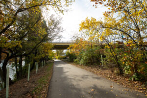 51- Pittsburgh Bike Trail - Three Rivers Heritage Trail - Heather Schor photography - Pittsburgh Bike Trail - River Ave - Oct 2023-5R1A5127-2