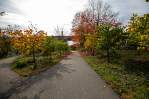 55- Pittsburgh Bike Trail - Three Rivers Heritage Trail - Heather Schor photography - Pittsburgh Bike Trail - River Ave - Oct 2023-5R1A5164-2