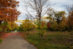 57- Pittsburgh Bike Trail - Three Rivers Heritage Trail - Heather Schor photography - Pittsburgh Bike Trail - River Ave - Oct 2023-5R1A5173-2