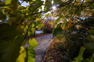 61- Pittsburgh Bike Trail - Three Rivers Heritage Trail - Heather Schor photography - Pittsburgh Bike Trail - River Ave - Oct 2023-5R1A5185-2