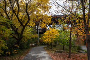 62- Pittsburgh Bike Trail - Three Rivers Heritage Trail - Heather Schor photography - Pittsburgh Bike Trail - River Ave - Oct 2023-5R1A5209-2