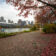 64- Pittsburgh Bike Trail - Three Rivers Heritage Trail - Heather Schor photography - Pittsburgh Bike Trail - River Ave - Oct 2023-5R1A5230-2