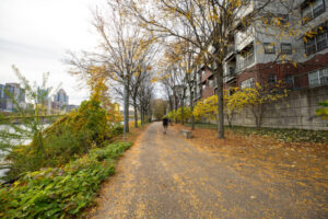 66- Pittsburgh Bike Trail - Three Rivers Heritage Trail - Heather Schor photography - Pittsburgh Bike Trail - River Ave - Oct 2023-5R1A5238-2