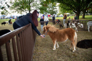 Delmont Apple Festival - Heather Schor photography - Delmont Apple Fest - Oct 2023-5R1A3854